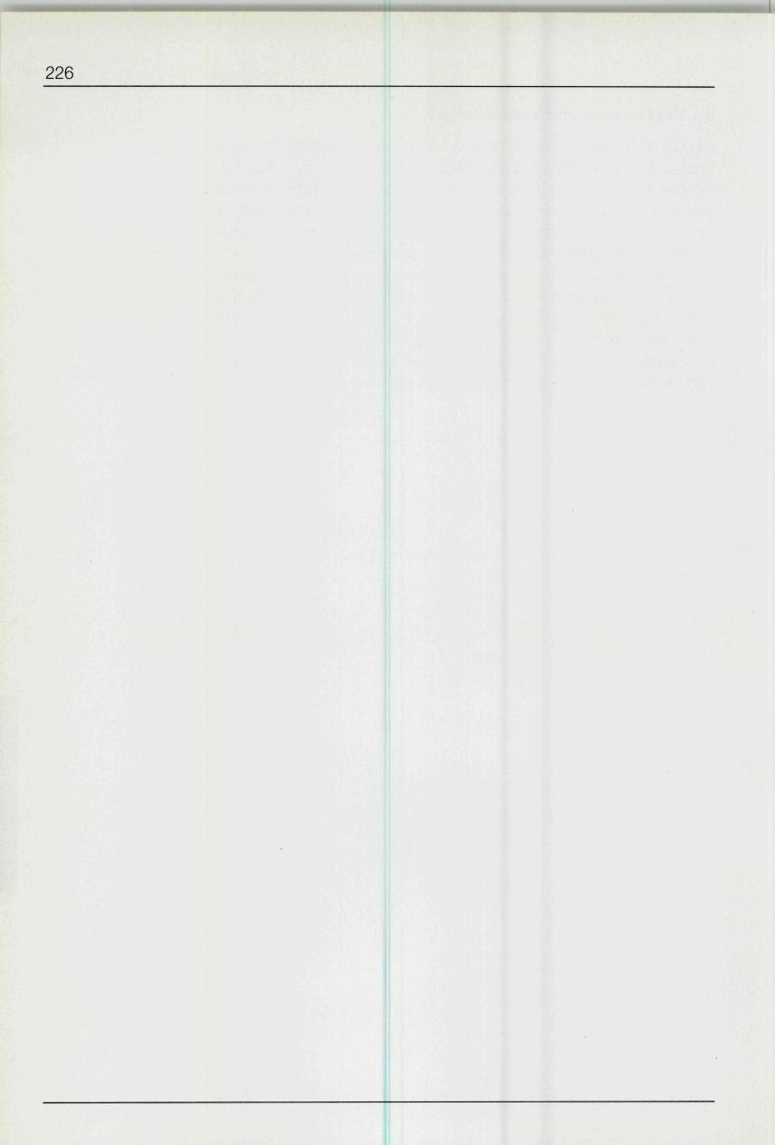 Seite 226