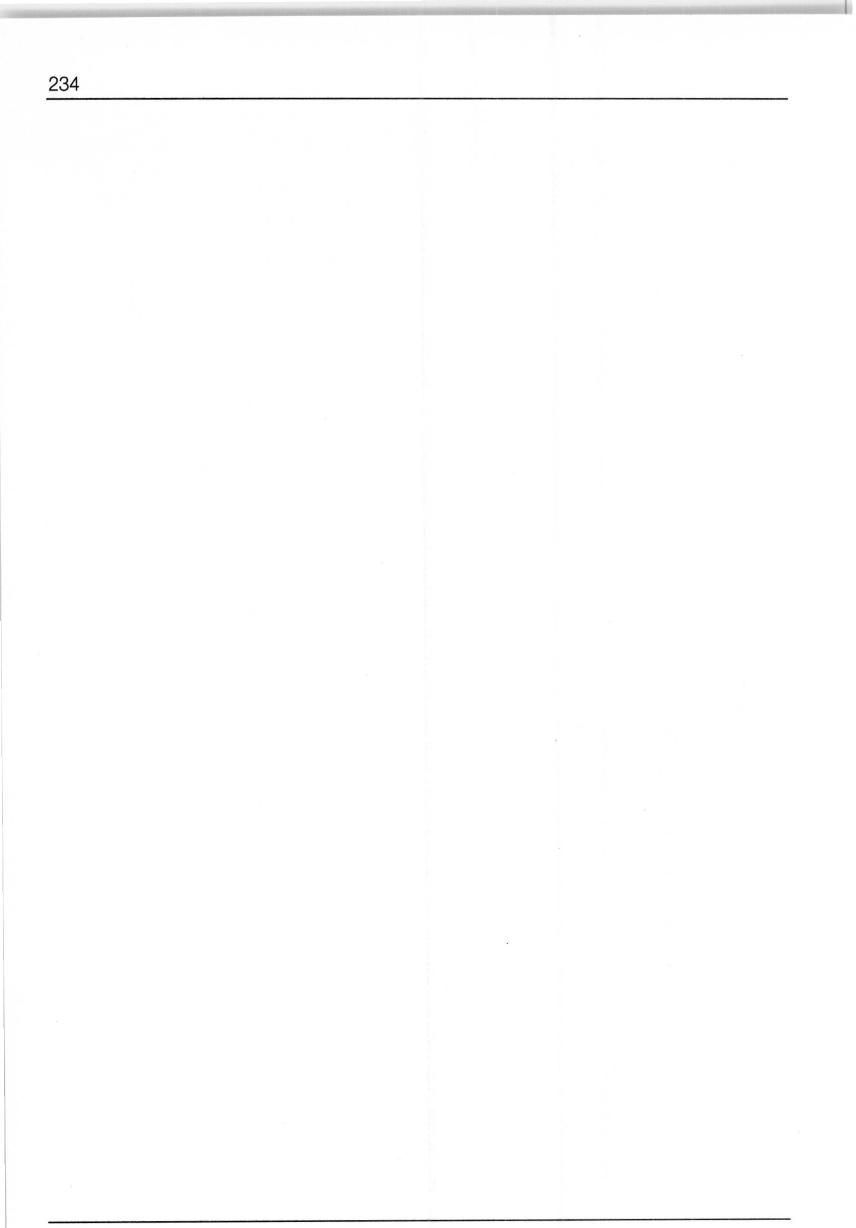 Seite 234