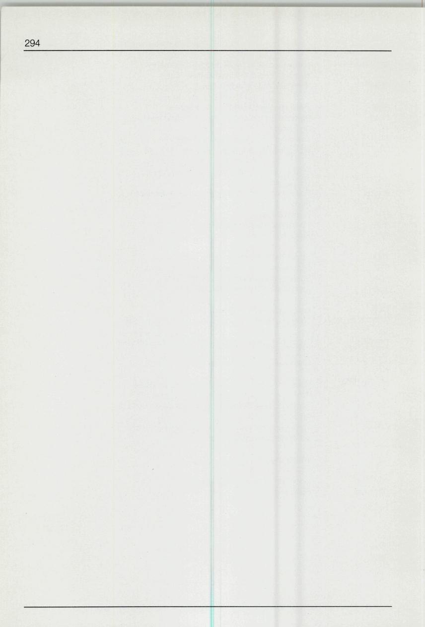 Seite 294