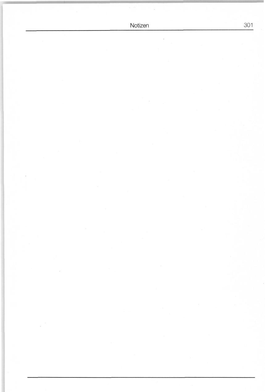 Seite 301