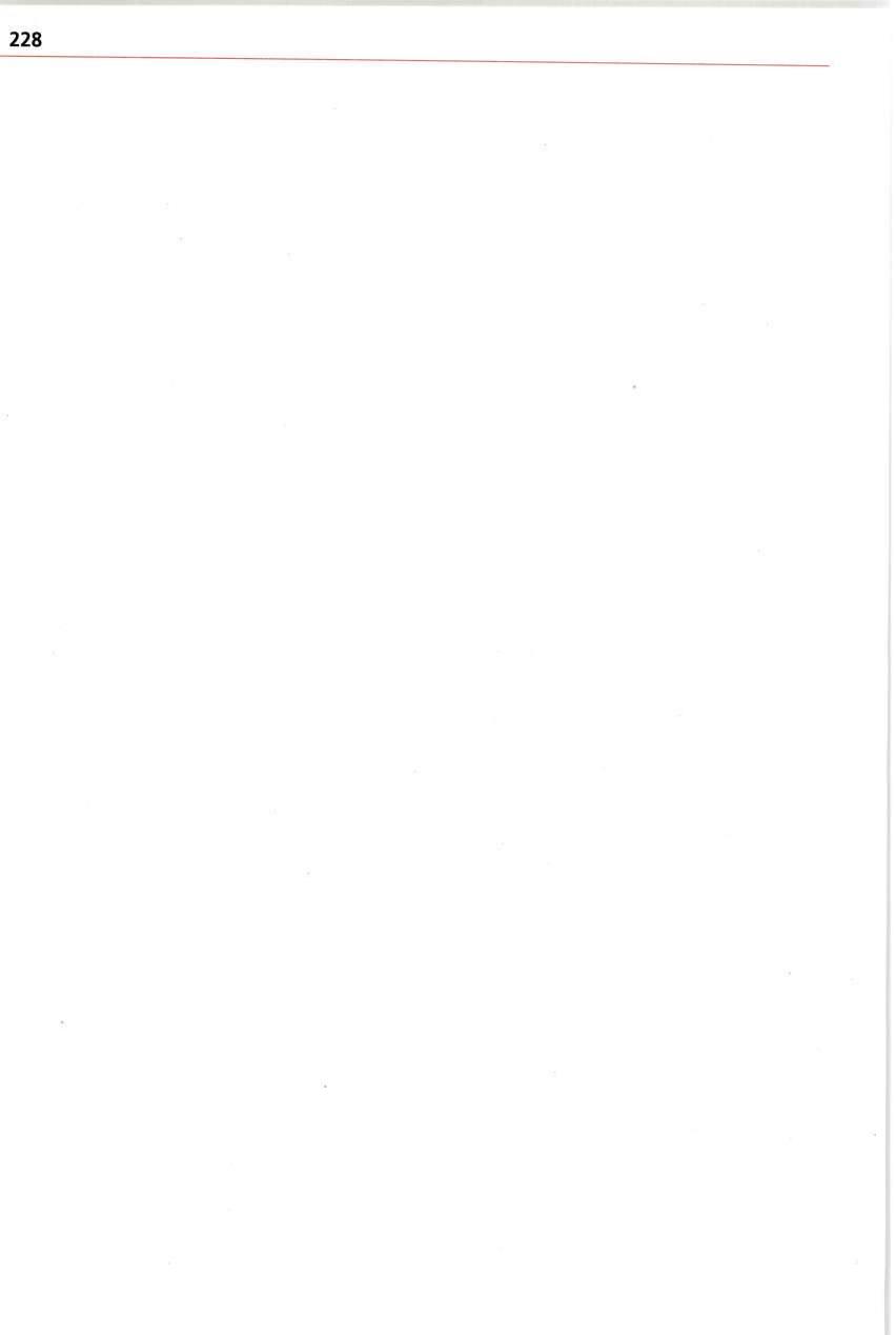 Seite 228