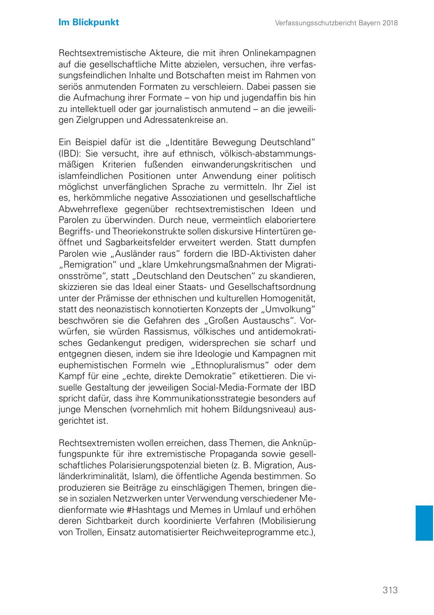 Seite 313