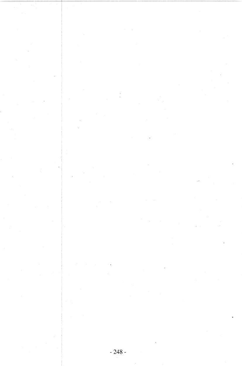 Seite 248